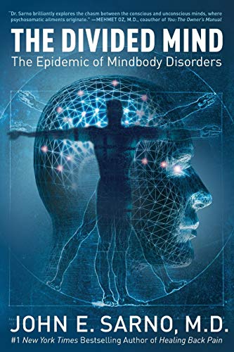 The Divided Mind: The Epidemic of Mindbody Disorders - Paperback
