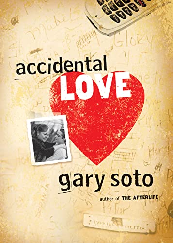 Accidental Love - Paperback