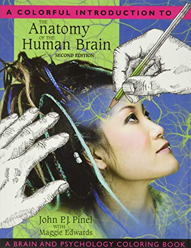A Colorful Introduction to the Anatomy of the Human Brain: A Brain and Psychology Coloring Book - Paperback