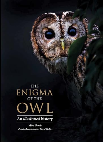 The Enigma of the Owl: An Illustrated Natural History - Hardcover