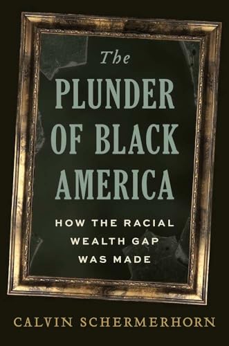 The Plunder of Black America: How the Racial Wealth Gap Was Made - Hardcover