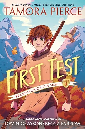 First Test Graphic Novel: (A Graphic Novel) - Paperback