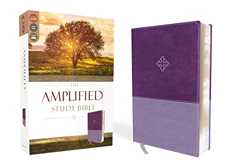 Amplified Study Bible, Imitation Leather, Purple - Imitation Leather