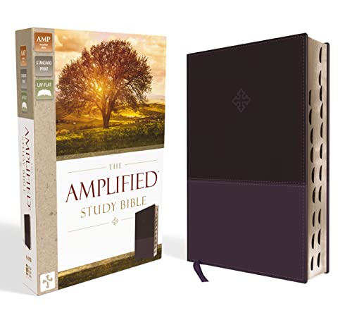 Amplified Study Bible, Imitation Leather, Purple, Indexed - Imitation Leather