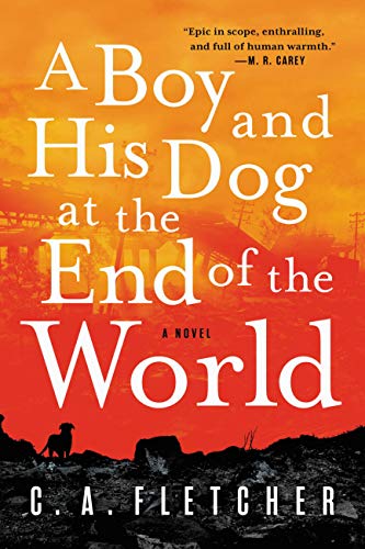 A Boy and His Dog at the End of the World - Paperback