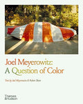 Joel Meyerowitz: A Question of Color - Paperback