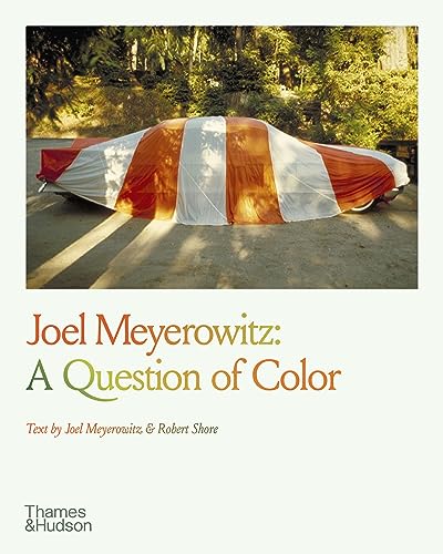 Joel Meyerowitz: A Question of Color - Paperback