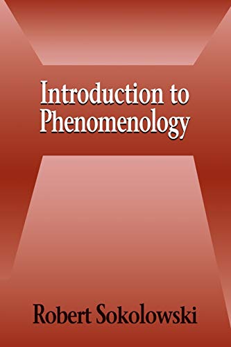 Introduction to Phenomenology - Paperback