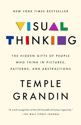 Visual Thinking: The Hidden Gifts of People Who Think in Pictures, Patterns, and Abstractions - Paperback