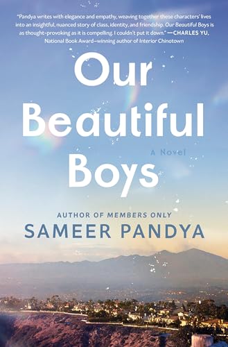 Our Beautiful Boys - Hardcover