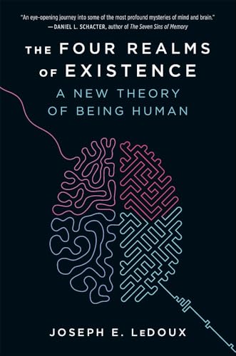 The Four Realms of Existence: A New Theory of Being Human - Paperback