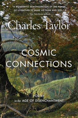 Cosmic Connections: Poetry in the Age of Disenchantment - Paperback