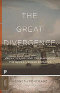 The Great Divergence: China, Europe, and the Making of the Modern World Economy - Paperback