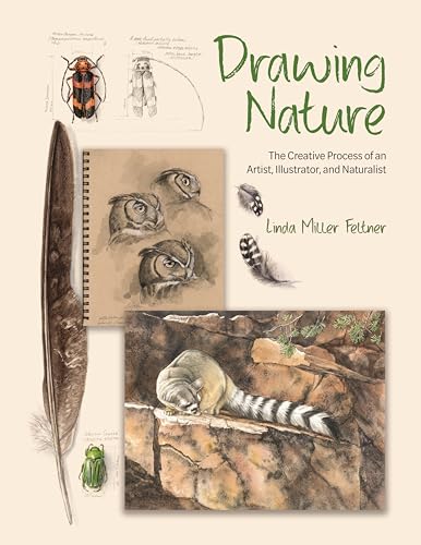 Drawing Nature: The Creative Process of an Artist, Illustrator, and Naturalist - Hardcover