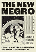 The New Negro: A History in Documents, 1887-1937 - Paperback