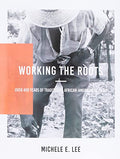 Working The Roots: Over 400 Years of Traditional African American Healing - Paperback
