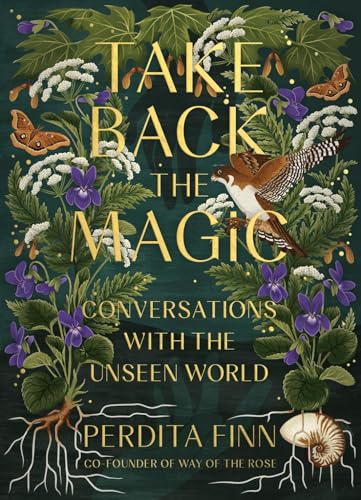 Take Back the Magic: Conversations with the Unseen World - Hardcover