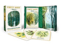 Forest Magic Oracle: A Deck and Guidebook for Green Witches - Other