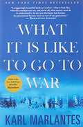 What It Is Like to Go to War - Paperback