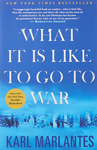 What It Is Like to Go to War - Paperback