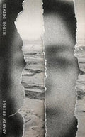 Minor Detail - Paperback