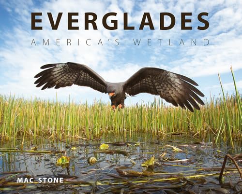 Everglades: America's Wetland - Hardcover