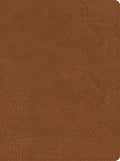 CSB He Reads Truth Bible, Saddle Leathertouch, Indexed - Imitation Leather