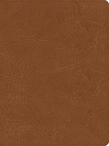 CSB He Reads Truth Bible, Saddle Leathertouch, Indexed - Imitation Leather