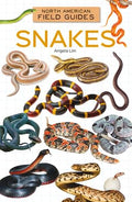 Snakes - Library Binding