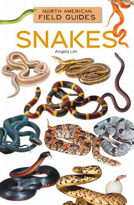 Snakes - Library Binding