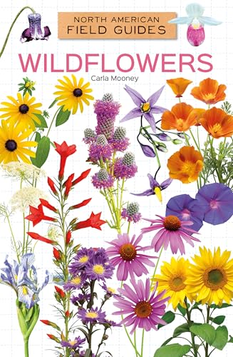 Wildflowers - Library Binding