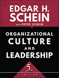 Organizational Culture and Leadership - Paperback