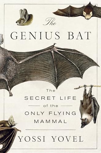 The Genius Bat: The Secret Life of the Only Flying Mammal - Hardcover