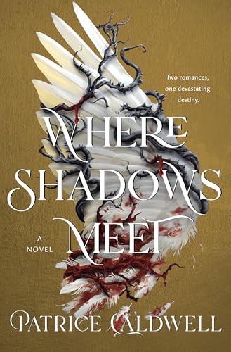 Where Shadows Meet - Hardcover