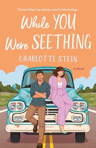 While You Were Seething - Paperback