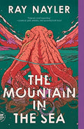 The Mountain in the Sea - Paperback