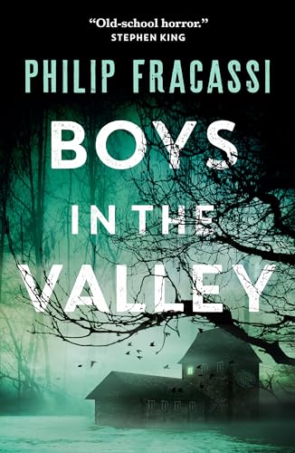 Boys in the Valley - Paperback