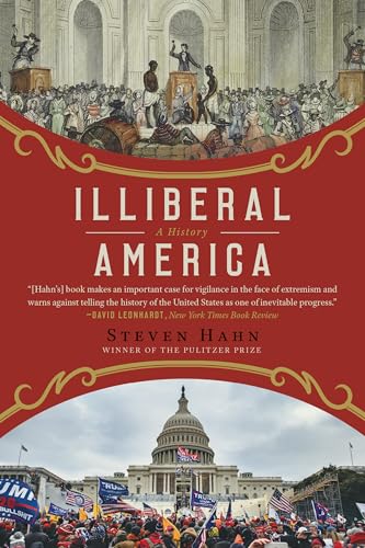 Illiberal America: A History - Paperback