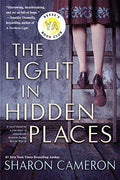 The Light in Hidden Places - Paperback