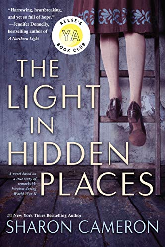The Light in Hidden Places - Paperback