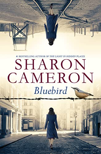 Bluebird - Paperback