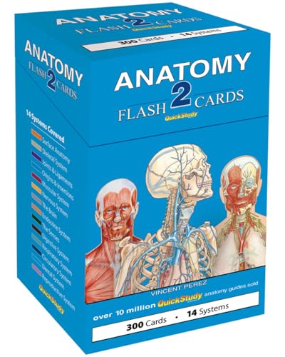 Anatomy 2 Flash Cards: A Quickstudy Reference Tool - Other