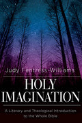 Holy Imagination: A Literary and Theological Introduction to the Whole Bible - Paperback