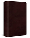 Large Print Personal Size Bible-ESV - Imitation Leather