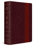 Study Bible-ESV-Large Print Trellis Design - Imitation Leather