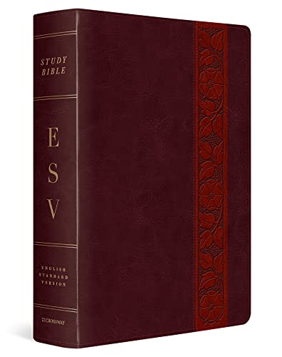 Study Bible-ESV-Large Print Trellis Design - Imitation Leather