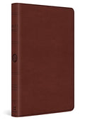 Large Print Value Thinline Bible-ESV - Imitation Leather