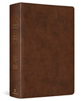 ESV Spanish/English Parallel Bible (La Santa Biblia Rvr 1960 / The Holy Bible Esv, Trutone, Brown) - Imitation Leather