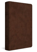 ESV Holy Bible: Dyslexia-Friendly Edition (Trutone, Brown) - Imitation Leather