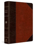 ESV Reader's Bible (Trutone, Brown/Cordovan, Portfolio Design) - Imitation Leather
